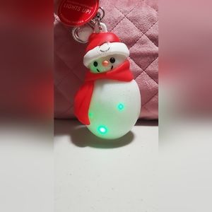 Pocketbac holder keychain